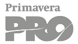 Roadie Tuner-Primavera